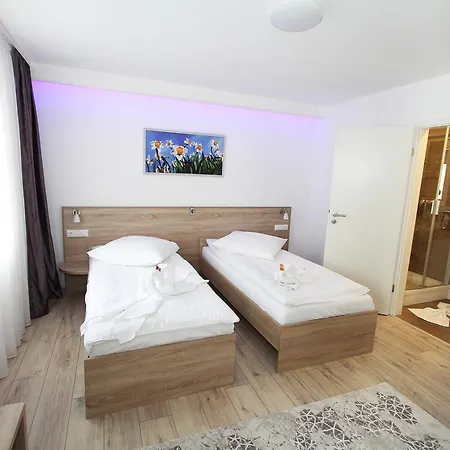 Colosseo Im Herzen Von 마이닝겐